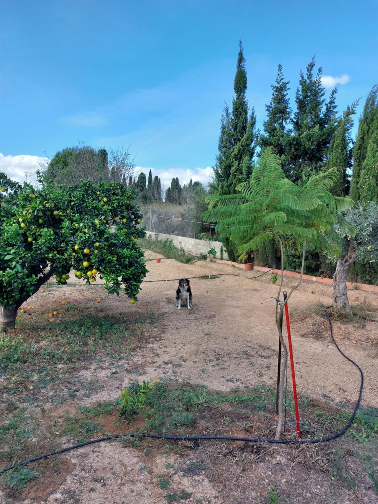 Les Berreries Villa Montroy Kültér fotó